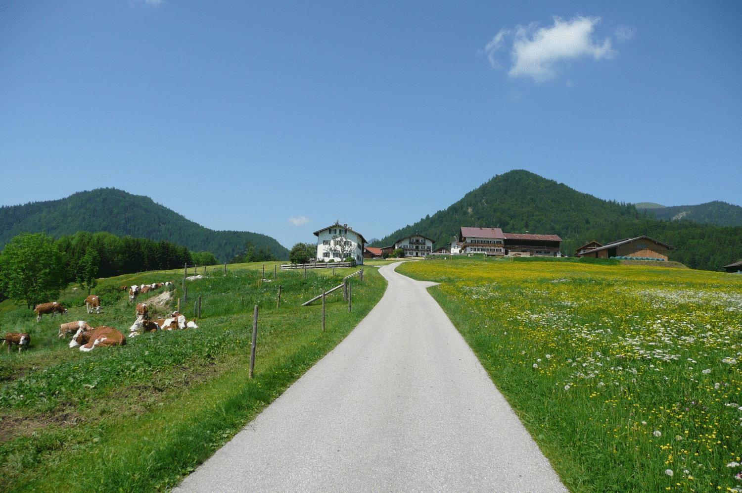 Gasthof Jachenau Zewnętrze zdjęcie